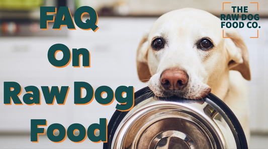 🐶🥩 Discover Answers to Top FAQs About Raw Dog Food | Make the Switch Safely