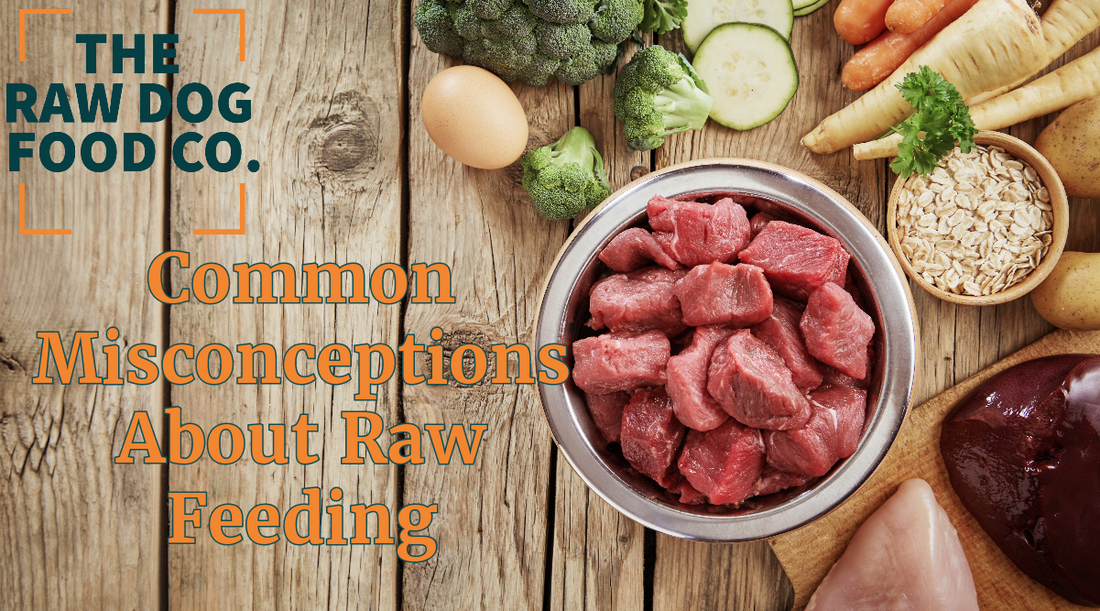 Common Misconceptions About Raw Feeding: Separating Fact from Fiction